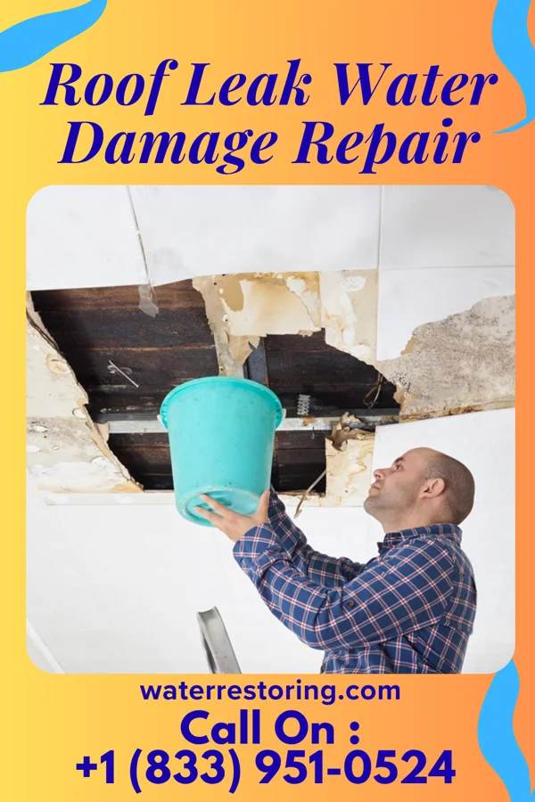 Roof Leak Water Damage Repair in Murray Hill, KY