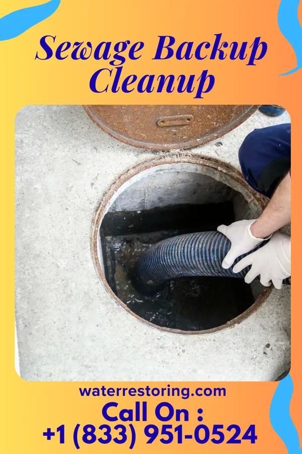 Sewage Backup Cleanup in Murray Hill, KY