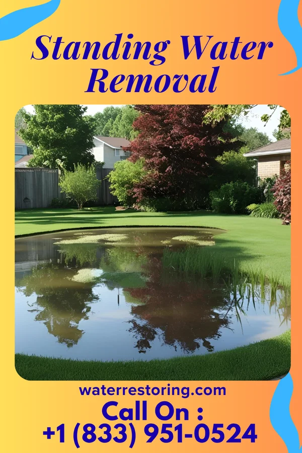 Standing Water Removal in Murray Hill, KY
